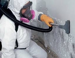  Delano, CA Mold Removal & Remediation Pros